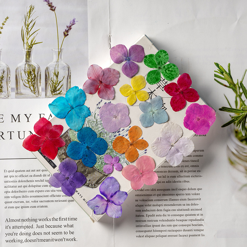 60 Buah Bunga Anna Hydrangea P - Resin Art Bookmark ulasan dan harga