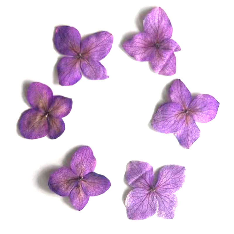 60 Buah Bunga Anna Hydrangea P - Resin Art Bookmark ulasan dan harga