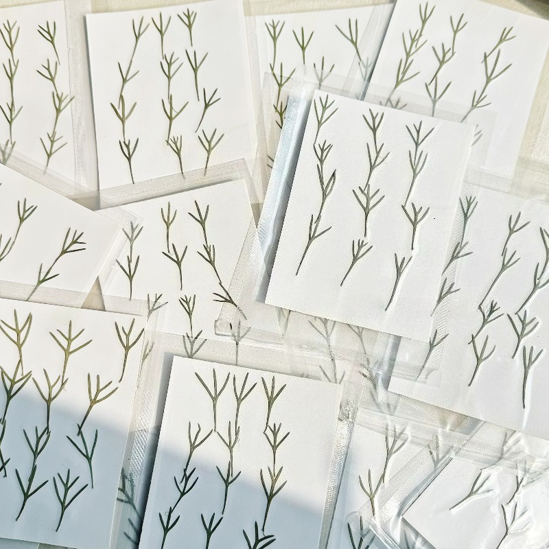 24pcs, Daun Achillea Asli yang - Resin Art Bookmark ulasan dan harga