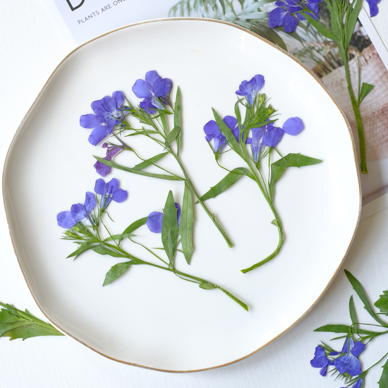 6 Buah/8-13Cm, Bunga Lobelia E - Resin Art Bookmark ulasan dan harga